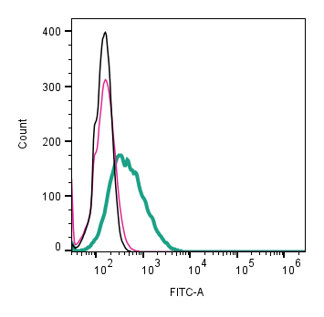 Cell surface detection of CD81 by direct flow cytometry in live intact human Raji lymphoblast B-cell line: