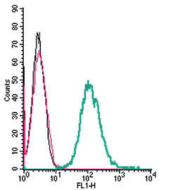 Cell surface detection of Neuropilin-1 by indirect flow cytometry in live intact mouse J774 macrophage cells
