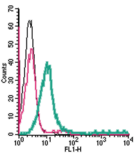 Cell surface detection of S1PR1 in live intact human Jurkat T-cell leukemia cells: