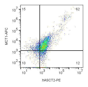 Cell surface multicolor flow cytometry analysis of live intact human Jurkat T-cell leukemia cells with ASCT2 and MCT1: