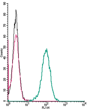 Cell surface detection of AGTR1 by indirect flow cytometry in live intact human THP-1 monocytic leukemia cells: