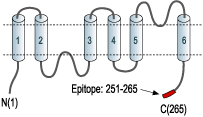 immunogen