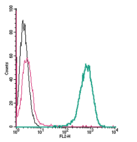 Cell surface detection of β 2 -Adrenergic Receptor by direct flow cytometry in live intact mouse J774 macrophage cells: