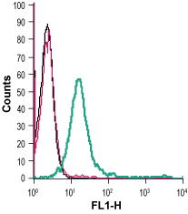 Cell surface detection of S1PR3 in live intact human Jurkat T-cell leukemia cells: