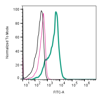 Cell surface detection of CD9 by indirect flow cytometry in BV-2- derived exosomes :