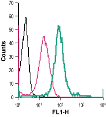 Cell surface detection of P2RX4 in live intact human THP-1 monocytic leukemia cells: