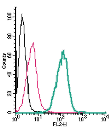 Cell surface detection of xCT/SLC7A11 in live intact human THP-1 monocytic leukemia cells:
