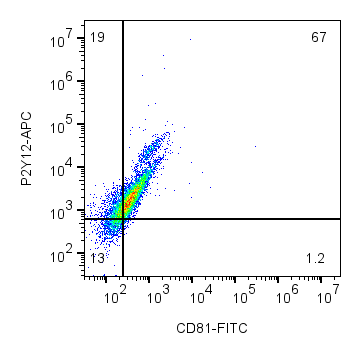 Cell surface multicolor flow cytometry analysis of live intact mouse BV-2 microglia cells with CD81 and P2Y12: