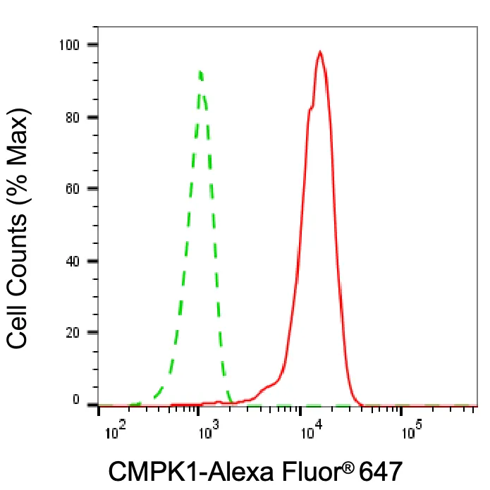 KVAb00586