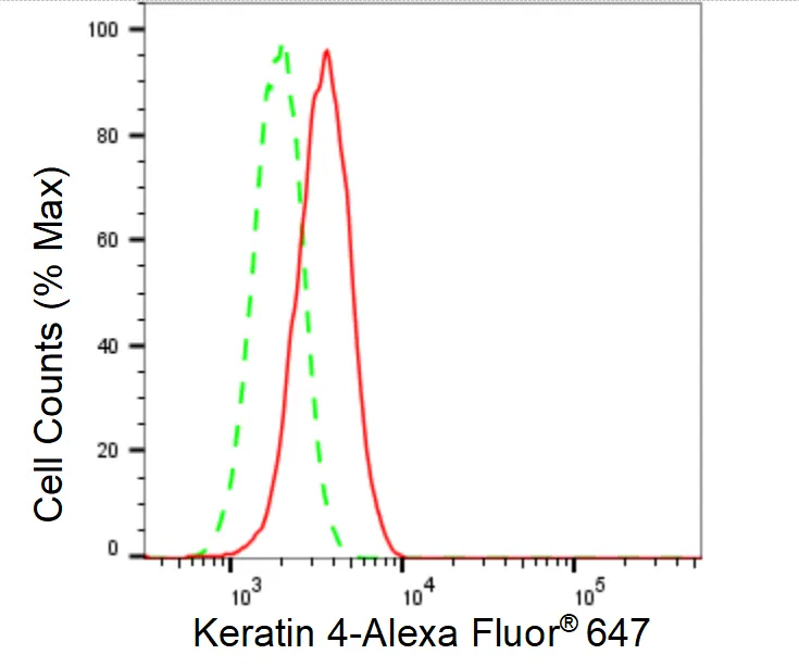 KVAb01049