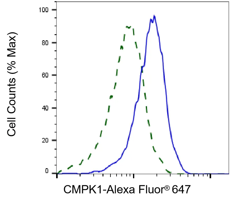 KVAb00586