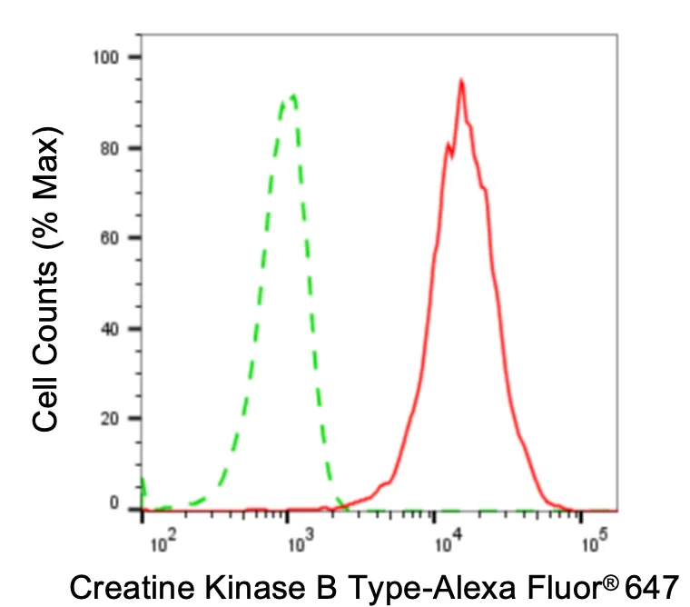 KVAb00792