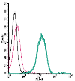Cell surface detection of <span class="TextRun Highlight SCXW152966334 BCX0" lang="EN-US" xml: