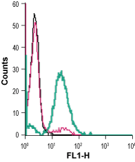 Cell surface detection of µ-Opioid Receptor in live intact mouse BV-2 microglia cells: