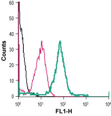 Cell surface detection of cystine/glutamate transporter in live intact human THP-1 monocytic leukemia cells: