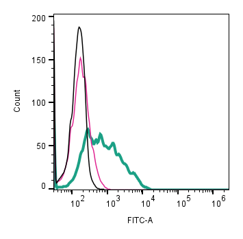 Cell surface detection of CD9 by indirect flow cytometry in live intact human MEG-01 megakaryoblast cell line:
