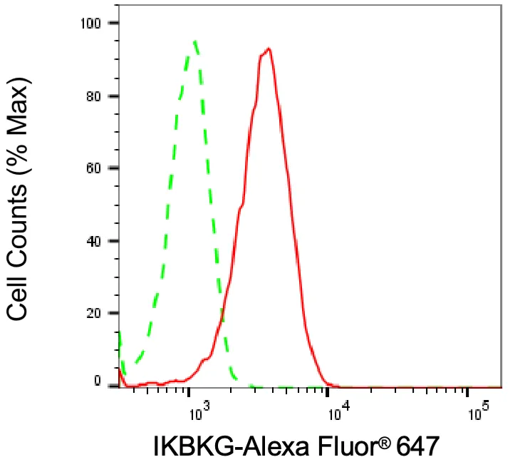 KVAb00406