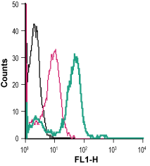 Cell surface detection of AT 1 receptor in live intact human THP-1 monocytic leukemia cells: