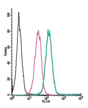 Cell surface detection of GABA(B) Receptor 1 by direct flow cytometry in live intact human THP-1 monocytic leukemia cells:
