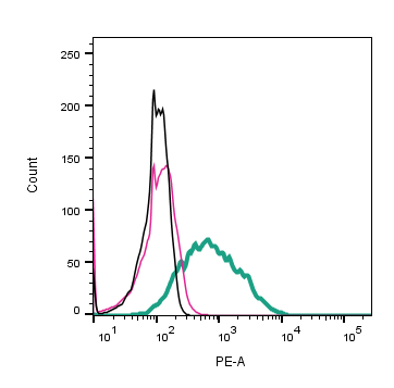 Cell surface detection of CD63 by indirect flow cytometry in live intact mouse P815 mastocytoma cell line: