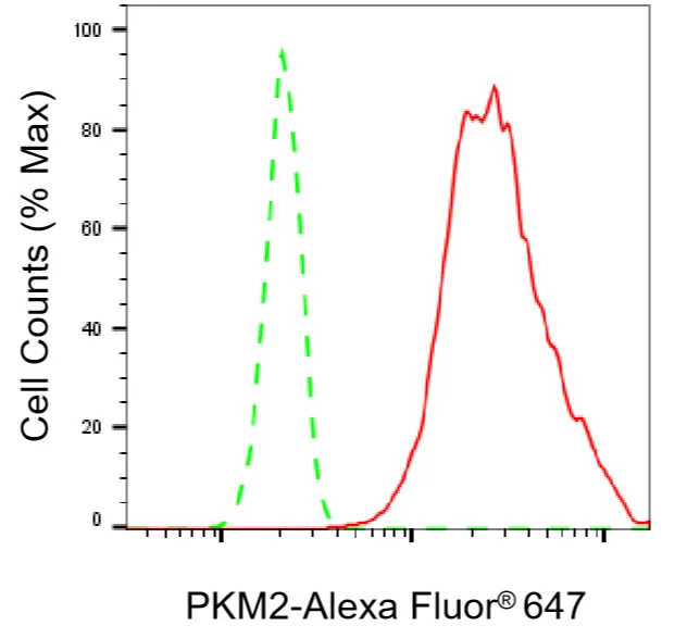 KVAb01670