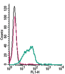 Cell surface detection of CD39 in live intact mouse BV-2 microglia cells:
