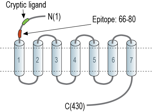 immunogen