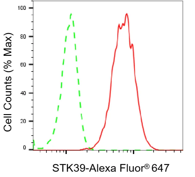 KVAb01298