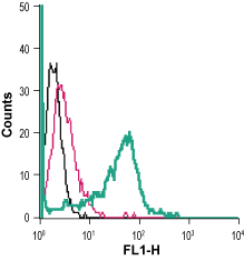 Cell surface detection of ADORA2b in live intact mouse J774 macrophage cells: