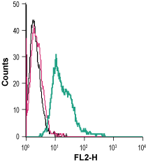 Cell surface detection of in live intact human MEG-01 megakaryoblastic leukemia cells: