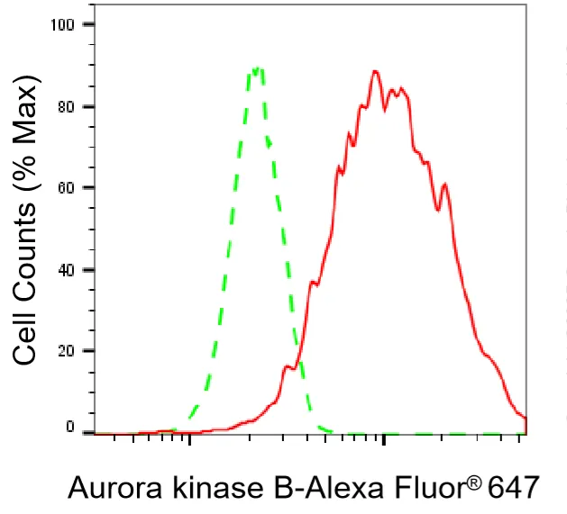 KVAb01648