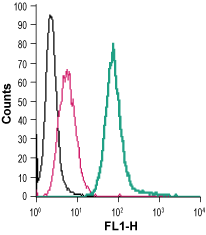 Cell surface detection of EMR1 in live intact mouse J774 macrophage cells: