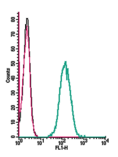 Cell surface detection of Prokineticin receptor 1 by indirect flow cytometry in live intact mouse J774 macrophage cells: