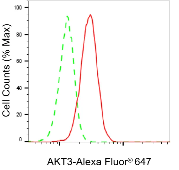 KVAb01242