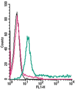 Cell surface detection of ADORA2A in live intact human Jurkat T-cell leukemia cells: