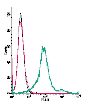 Cell surface detection of <span class="TextRun Highlight SCXW194577844 BCX8" lang="EN-US" xml: