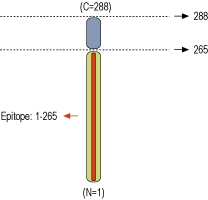 immunogen