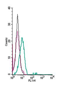 Cell surface detection of NCAM1 by indirect flow cytometry in live intact human natural killer cells NK-92MI cells: