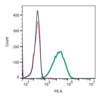 Cell surface detection of CD81 by direct flow cytometry in live intact mouse BV-2 microglia cell line: