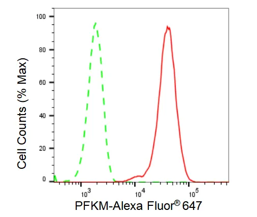 KVAb01496