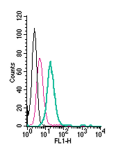 Cell surface detection of MERTK by direct flow cytometry in live intact mouse BV-2 microglia cells: