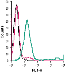 Cell surface detection of P2RX1 in live intact mouse M1 myeloid leukemia cells: