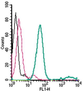 Cell surface detection of EAAT1 in live intact mouse BV-2 microglia cells: