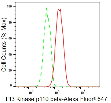 KVAb00547