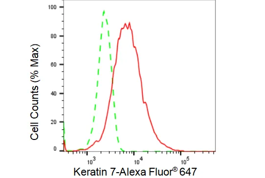 KVAb01700