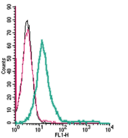 Cell surface detection of Orai1 by direct flow cytometry in live intact mouse TK-1 T-cell lynphoma cells: