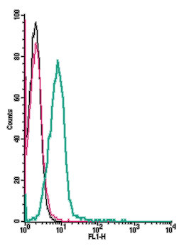 Cell surface detection of <span class="TextRun Highlight SCXW13770668 BCX8" lang="EN-US" xml:lan
