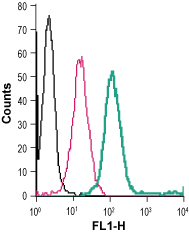 Cell surface detection of Sortilin in live intact human THP-1 monocytic leukemia cells:
