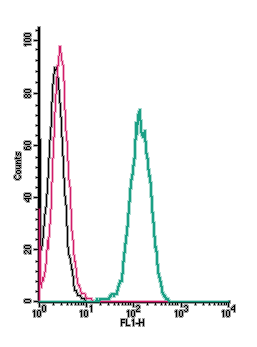 Cell surface detection of <span class="TextRun Highlight SCXW170656565 BCX0" lang="EN-US" xml: