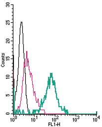 Cell surface detection of TRPV4 in live intact mouse J774 macrophage cells: